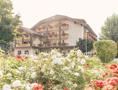 Sommer im Langgenhof